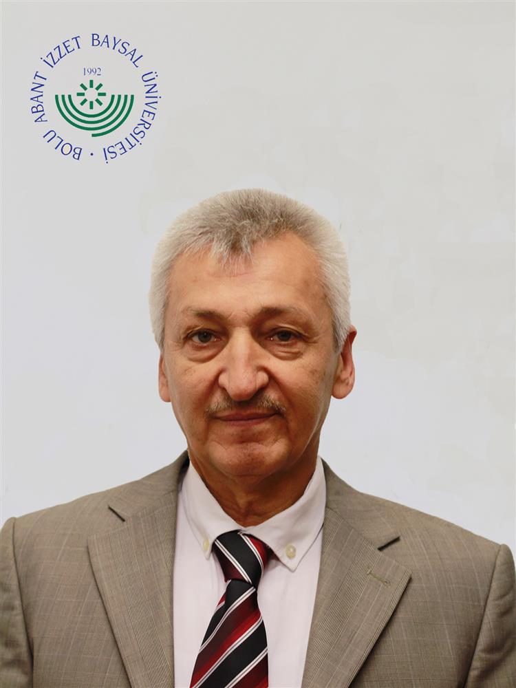 Ramazan ALTIN